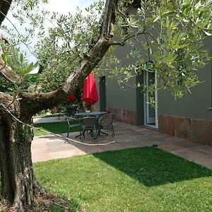 Il Carpino Bianco Puegnago del Garda
